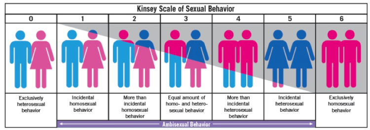 Image from https://schnippits.wordpress.com/tag/kinsey-scale/